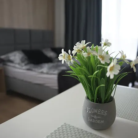 Apartment Na Wzgorzu Insko
